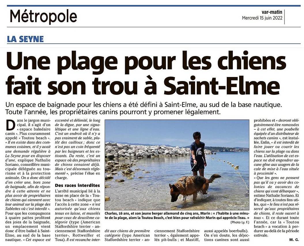 Plage pour les chiens